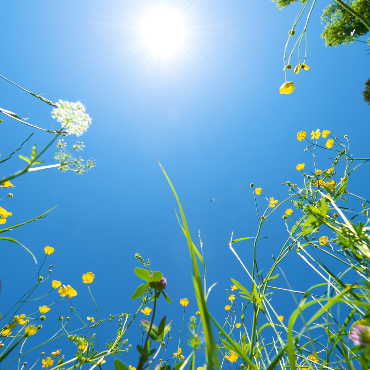 Maintaining Operational Continuity Through the Summer Months